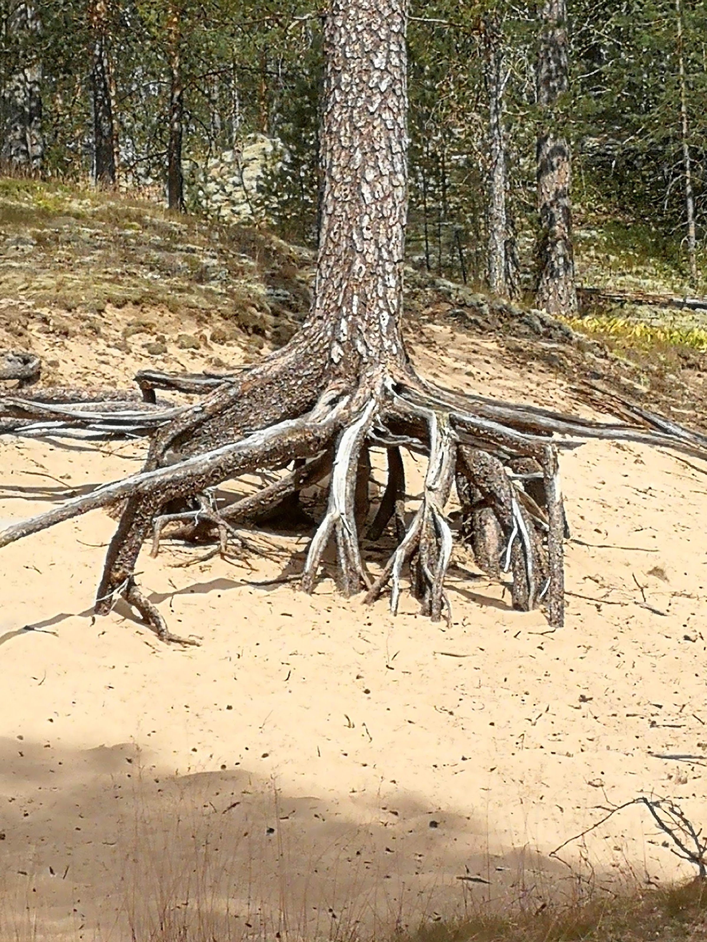 Syvyydenkaivo (the largest kettlehole in Finland)